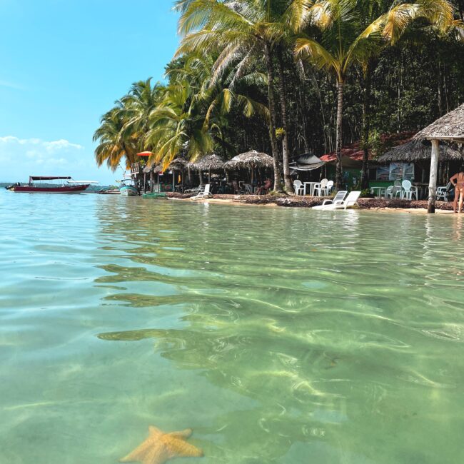 bocas del toro, bocas del toro látnivalók, bocas del toro nyaralás, bocas del toro utazás, látnivalók bocas del toro, látnivalók bocas del toroban, nyaralás panamában, panama, panama beszámolók, panama bocas, panama bocas del toro, panama látnivalók, panama látványosságok, panama nevezetességei, panama nevezetességek, panama nyaralás, panama programok, panama tengerpart, panama utazás, panama utazási tanácsok, panama utazási tippek, panama vélemények