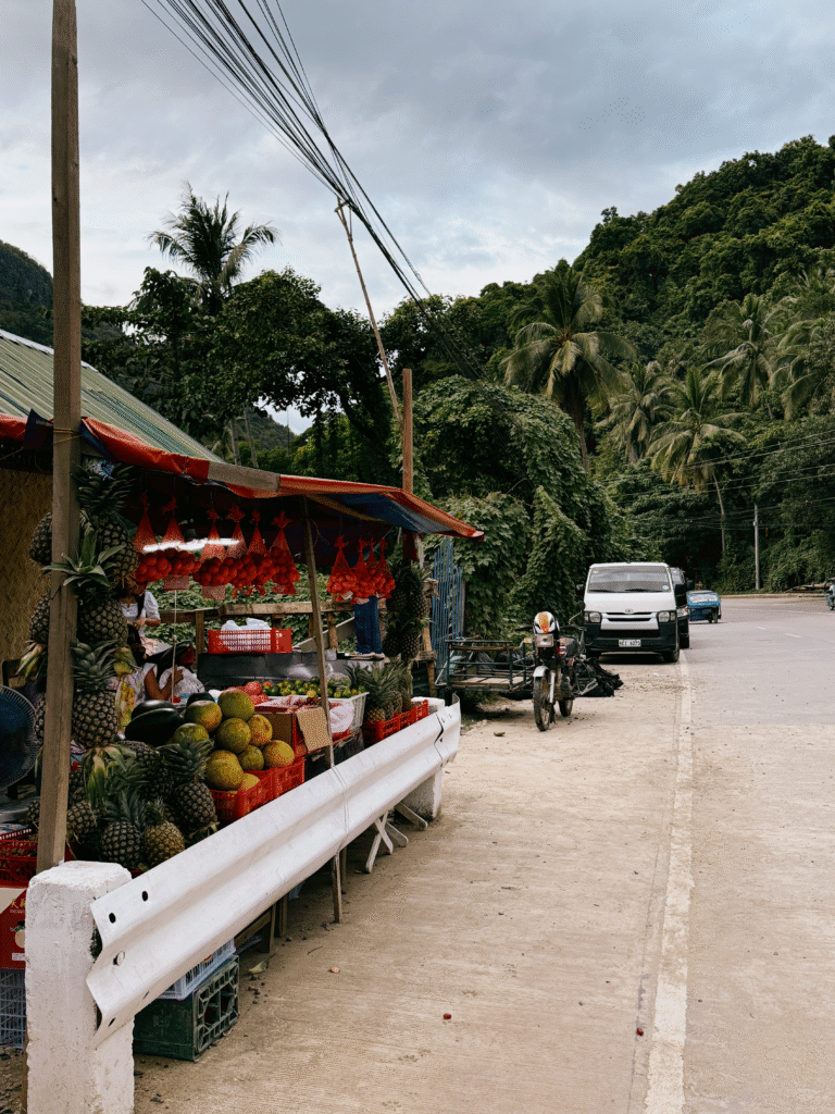 el nido palawan, palawan, el nido, el nido látnivalók, el nido éttermek, fülöp szigetek utazás, fülöp szigetek nyaralás, fülöp szigetek látnivalók, fülöp szigetek, palawan sziget, palawan island, el nido programok, el nido szállás, palawan szállás, palawan strandok, palawan fülöp szigetek