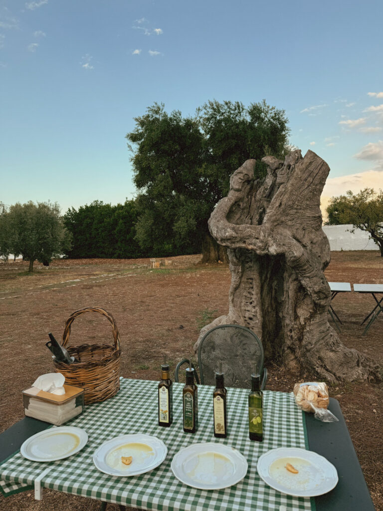 puglia, puglia látnivalói, puglia látnivalók, puglia olaszország, puglia utazás, puglia térkép, puglia szállás, apulia, bari tengerpartok, monopoli látnivalók, alberobello, alberobello látnivalók, dél-olaszország látnivalók, bari környéke látnivalók, bari és környéke, ostuni látnivalók, bari látnivalók térkép, puglia alberobello, olíva farm