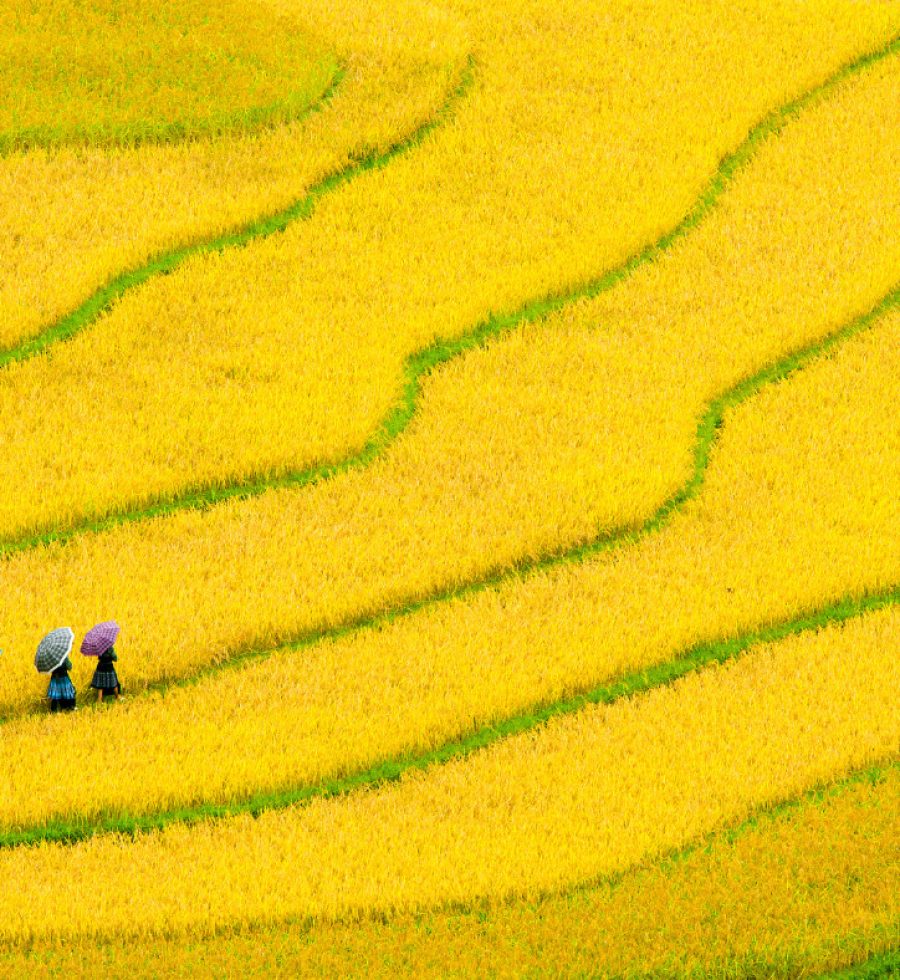 vietnam nature, vietnám utazás, vietnám látnivalók, hanoi