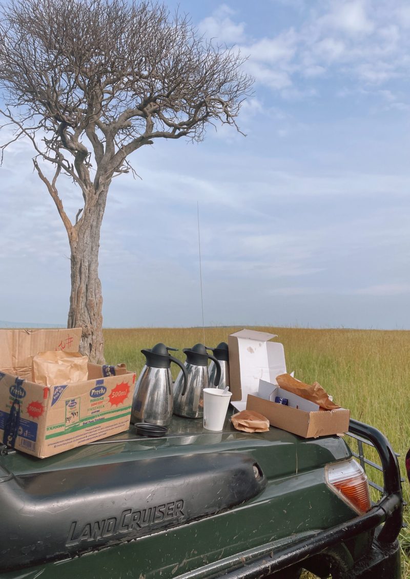 afrika nyaralás, afrikai nyaralás, afrika utazás, afrikai utazás, afrika kenya, kenya utazás, kenya fővárosa, kenya szafari, kenya látnivalók, kenya szafari, afrikai szafari, afrika szafari, bush breakfast