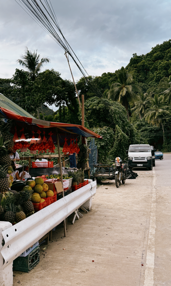 el nido palawan, palawan, el nido, el nido látnivalók, el nido éttermek, fülöp szigetek utazás, fülöp szigetek nyaralás, fülöp szigetek látnivalók, fülöp szigetek, palawan sziget, palawan island, el nido programok, el nido szállás, palawan szállás, palawan strandok, palawan fülöp szigetek