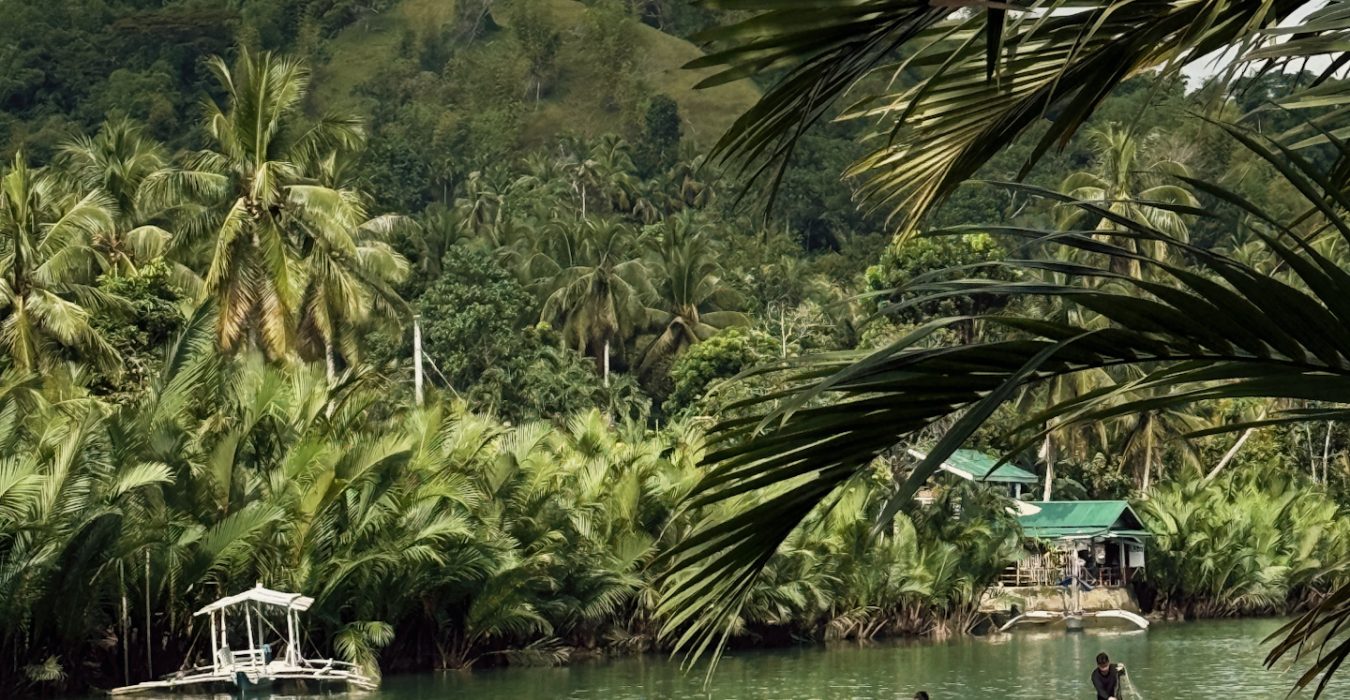 bohol, bohol látnivalók, fülöp szigetek utazás, fülöp szigetek nyaralás, fülöp szigetek látnivalók, bohol fülöp szigetek, loboc, loboc river, szentjánosbogár rajzás