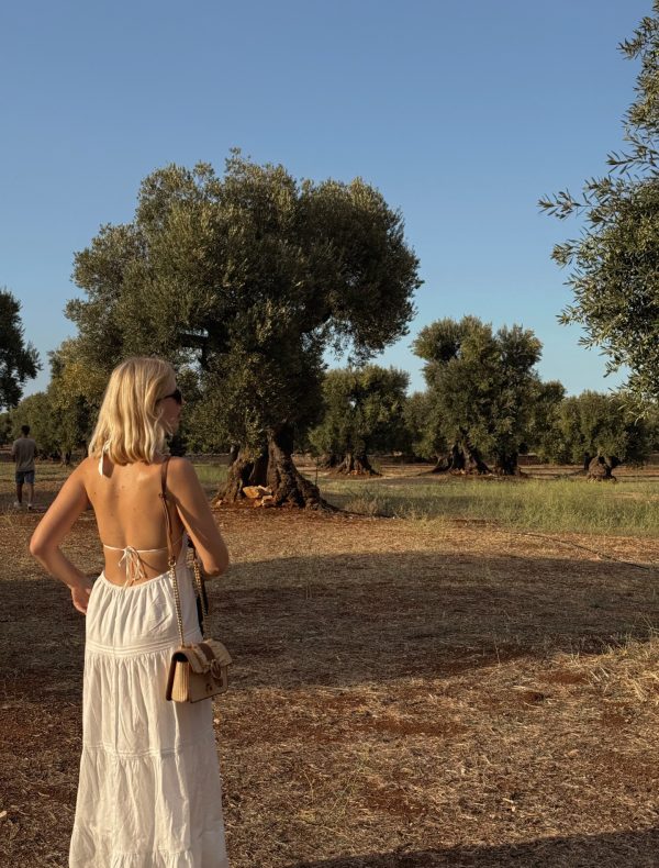 olíva farm, puglia, puglia látnivalói, puglia látnivalók, puglia olaszország, puglia utazás, puglia térkép, puglia szállás, apulia, bari tengerpartok, monopoli látnivalók, alberobello, alberobello látnivalók, dél-olaszország látnivalók, bari környéke látnivalók, bari és környéke, ostuni látnivalók, bari látnivalók térkép, puglia alberobello
