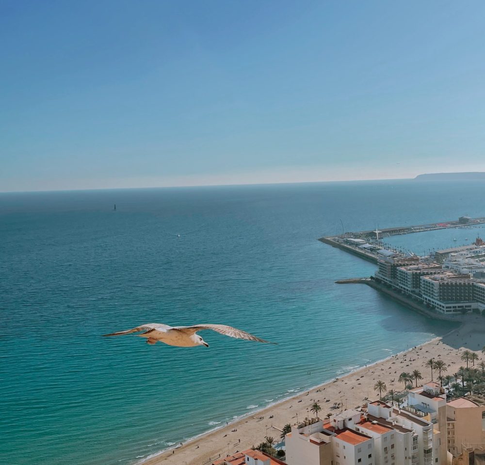 Alicante látnivalók, costa blanca látnivalók, alicante nyaralás, alicante utazás, costa blanca utazás, costa blanca látványosságok, spanyolország, spanyolország nevezetességei, látnivalók spanyolország, látnivalók spanyolországban, alicante nevezetességei, costa blanca strandok, costa blanca programok, costa blanca szállás, alicante szállás, alicante strand, alicante strandok