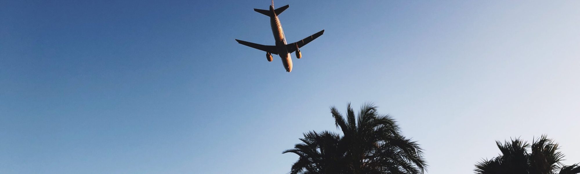 pexels-tom-cattini-2990971 wizzair járattörlés, wizzair panasz, wizzair visszatérítés, wizz air panasz, repülő késés kártérítés, késett a gépem