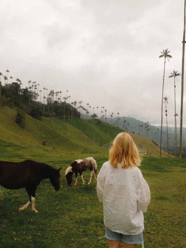 somewhere between dream and reality🌴

.

.

📍 Valle de Cocora, Colombia 

One of the most beautiful places I have visited in my life 🤍 Cocora Valley is home to the world’s tallest wax palm trees, making it one of the most unique landscapes in South America 

Save Cocora Valley for your Colombia itinerary and don’t miss it if you’re planning a trip to Colombia 🇨🇴

#ejecafeterocolombia #colombia🇨🇴 #valledecocora #colombiatravel #cocoravalley